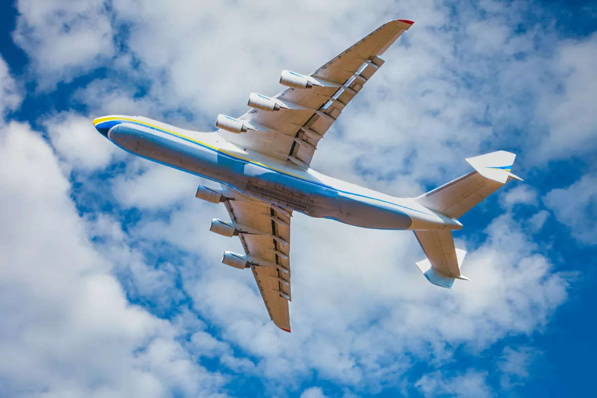 The Travel Franchise