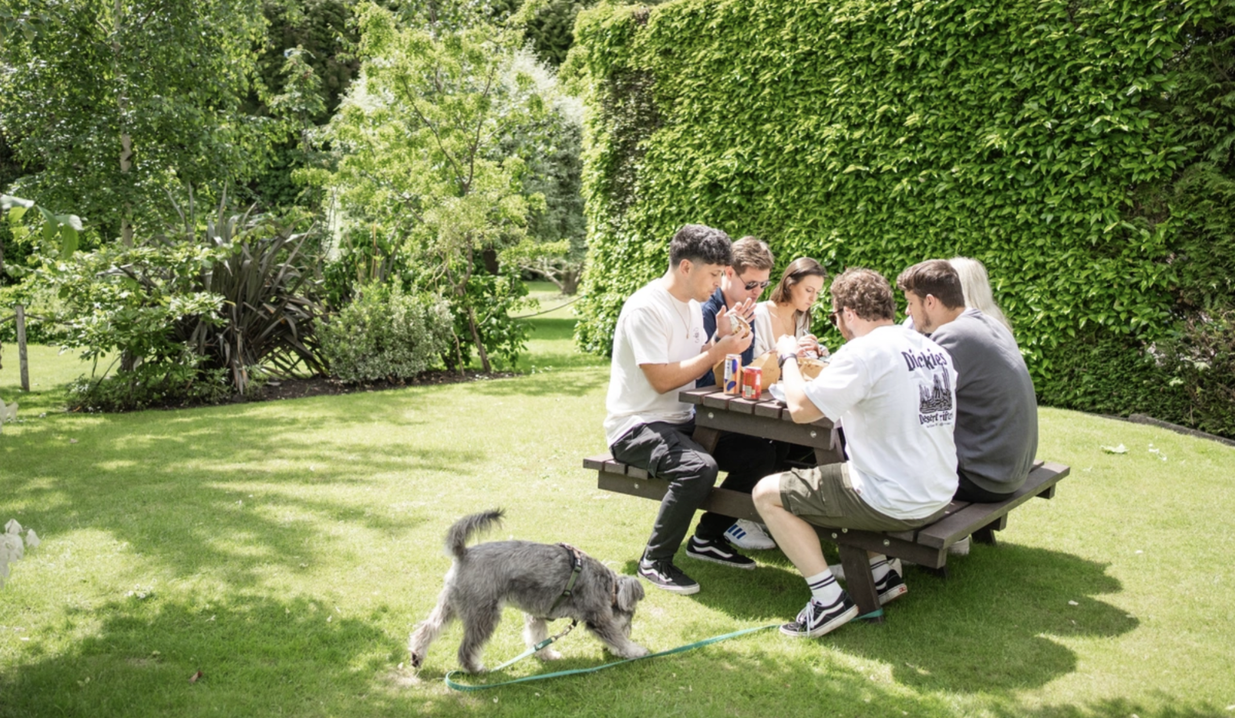 Bind Media team enjoying lunch in a sunny garden